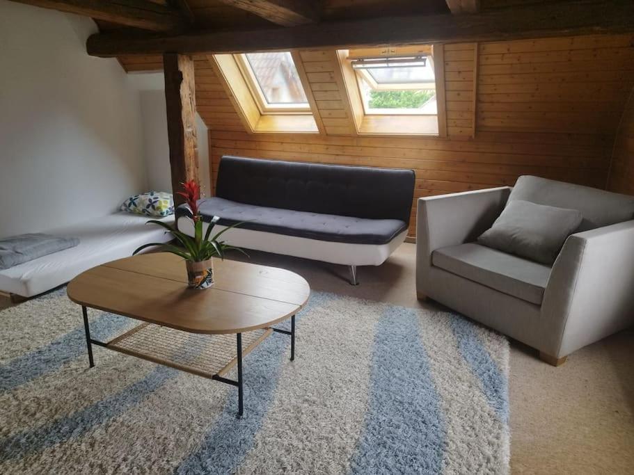 Schoene Im Zentrum Apartment