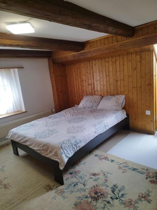 Schoene Im Zentrum Apartment Zizers