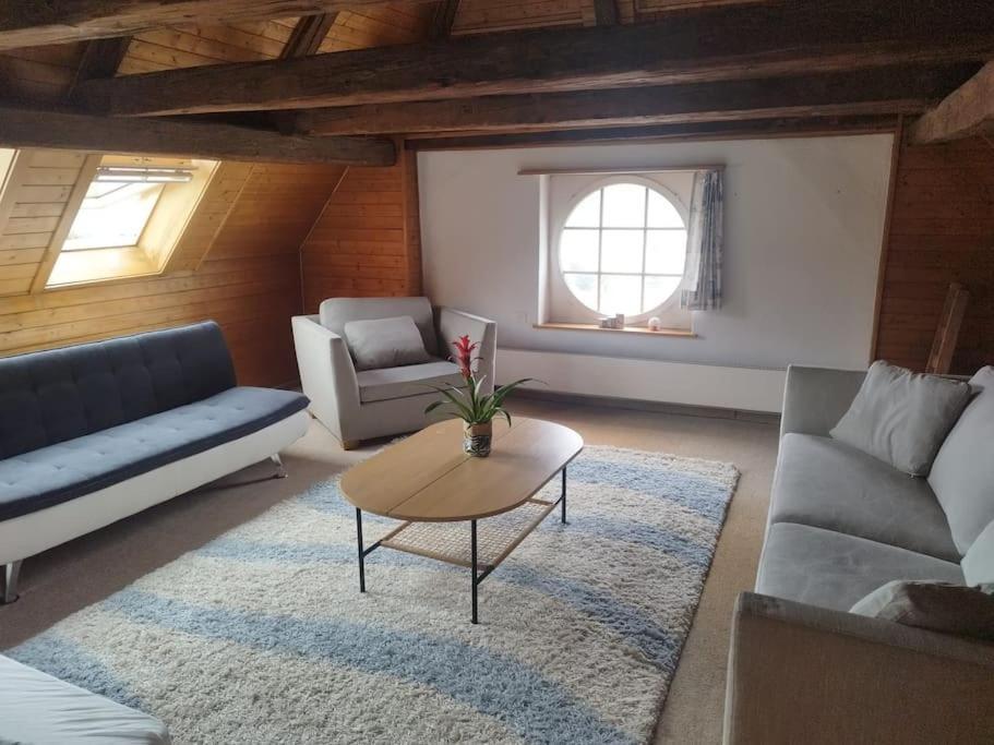 Schoene Im Zentrum Apartment Zizers